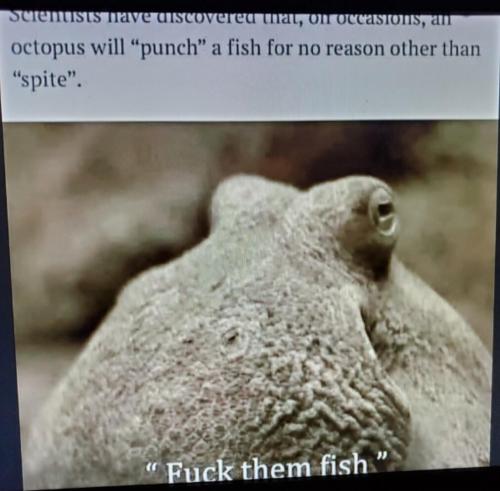 03:09:07 GMT-0500 (CDT)