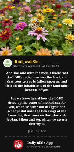 2025-10-281761697224371