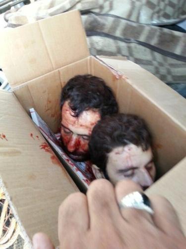 жесть-секретные-разделы-подборка-жесть-в-топ-1721977