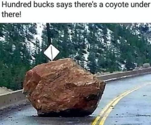 Screenshot_20251025_155406_Gallery