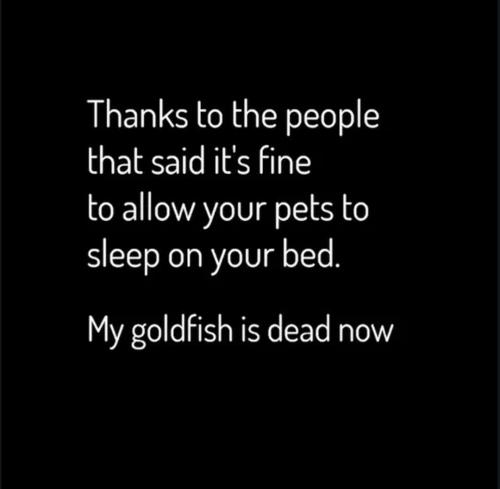00:41:46 GMT-0400