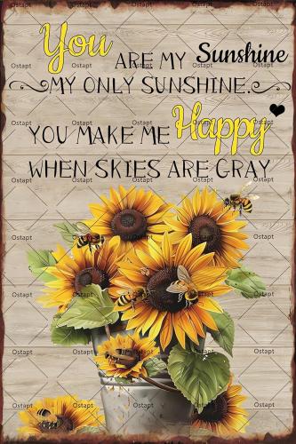 81qLlMhLPCL._AC_SL1500_