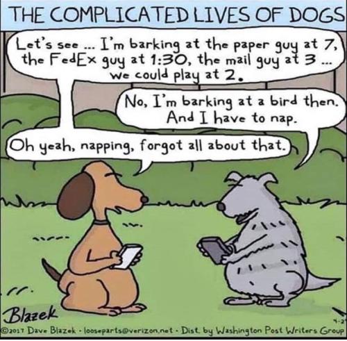 b17965333f63eec0dc8a12d39061836d