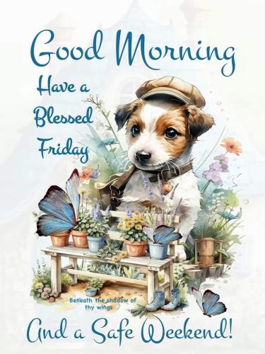 574348698_18030346739743683_2989251058060989072_n