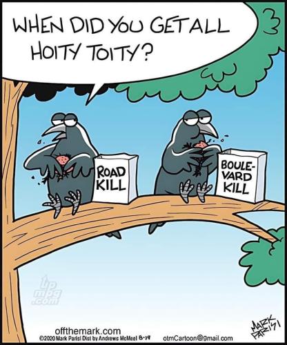 main-qimg-731c120e2f2bcd6bbdaec5b0a13a3719