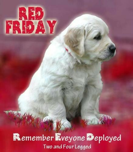 a59de5e55473ff2856f3ce966369e8a7