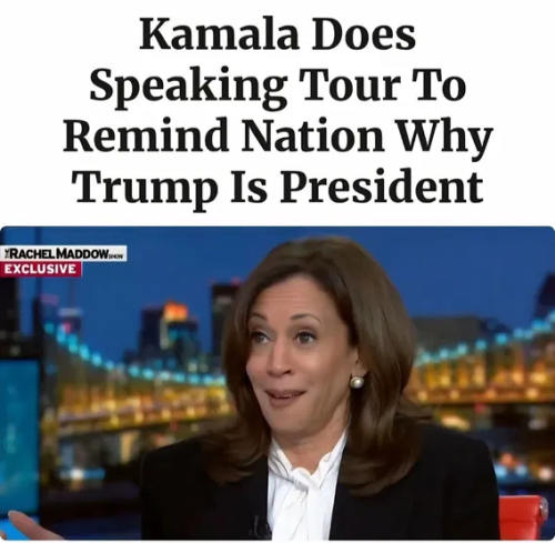 image_2025-10-14_062419611