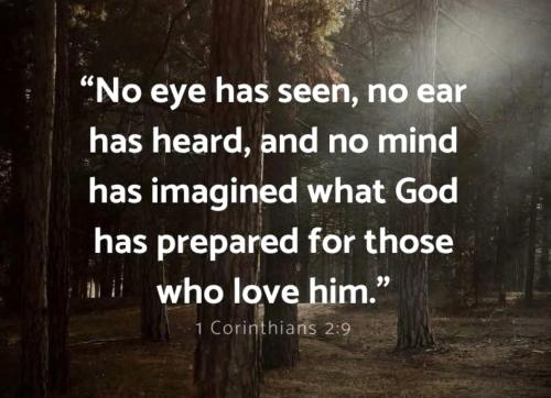 103125 - Not one eye 1 Cor 2-9