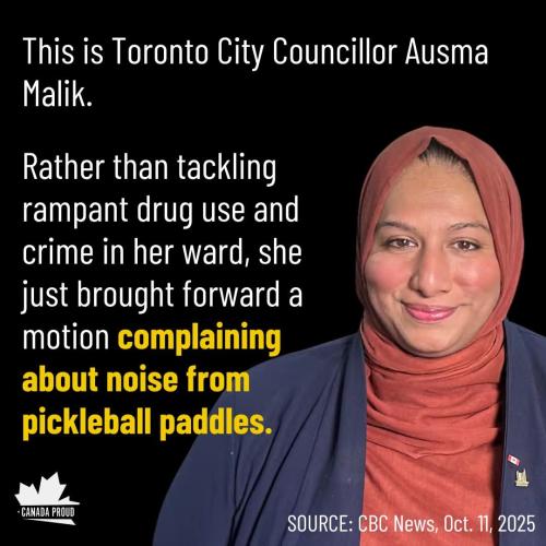 city councillor