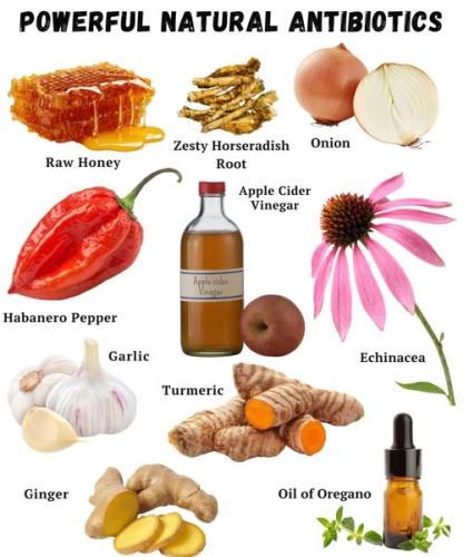 ,          ,  0424775766_746362