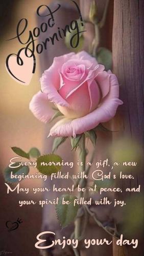 2b55ce9e4054aaf0435bb6df5767ebbf