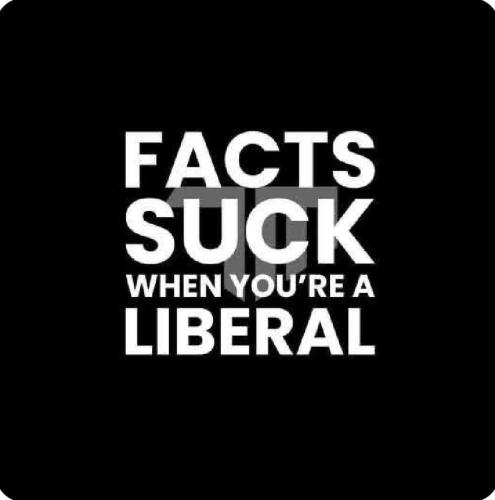 FB_IMG_1760511575918