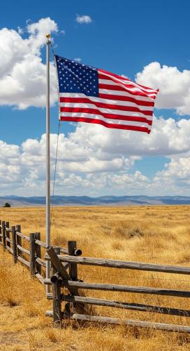 fe3f7442-604f-4eda-86fb-636eda916910