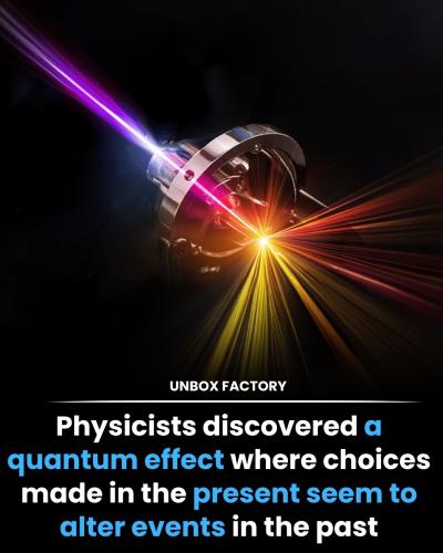 ,          ,  0424775766_746362