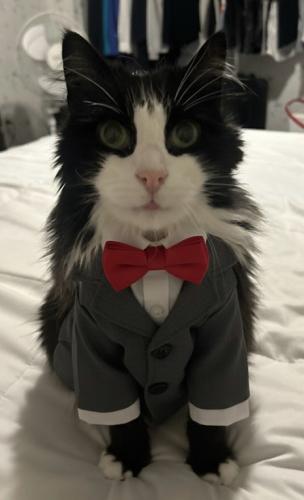 9FBA540A-BC49-422B-BAC9-E0C97AEC4400