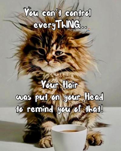 704a1b994a5e5b5f58326bc7f1f57692