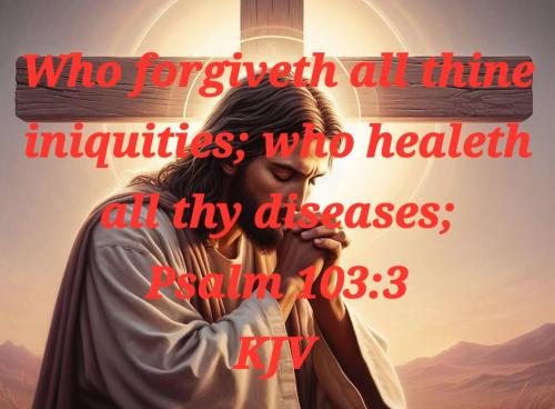 511cd3c5-f626-4eef-8082-c0ad5698bc56