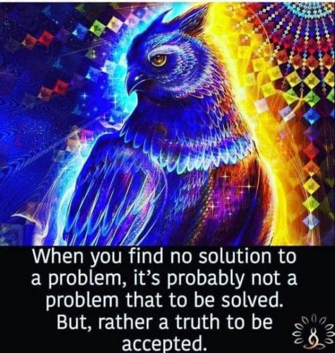 ,          ,  0424775766_746362