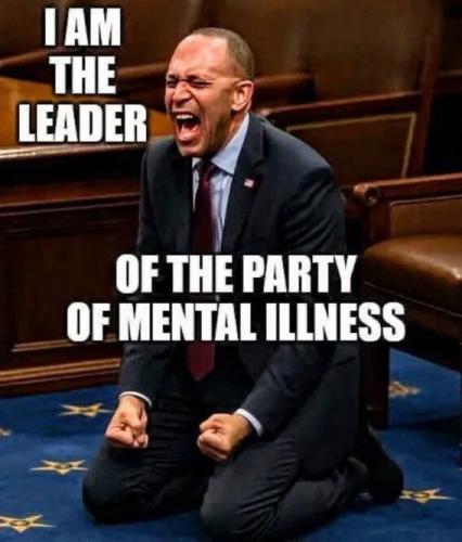 leader-party-mental-illness
