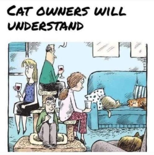 Screenshot_20251004_114624_Gallery