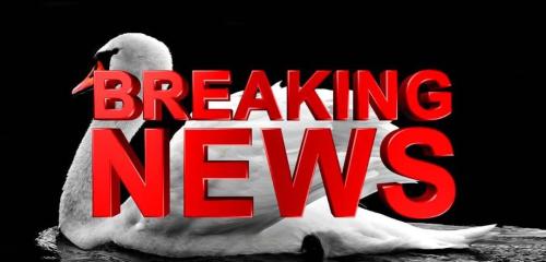 ,          ,  0424775766_746362