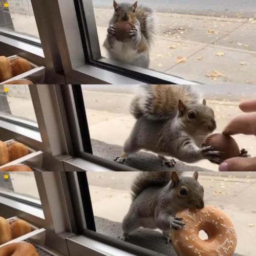 4142ca05-335a-441a-8980-e2c31469e970