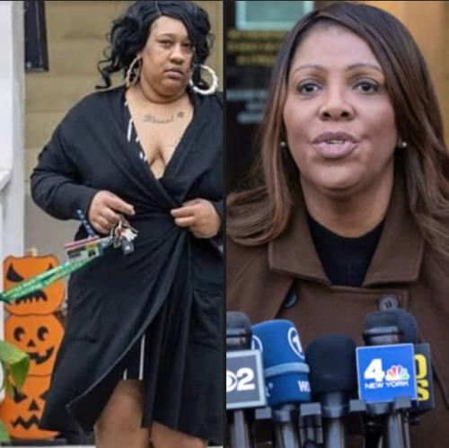 No one is above the law