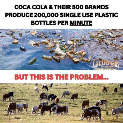 1f411b6c-2642-47eb-b042-115d66a4f01e