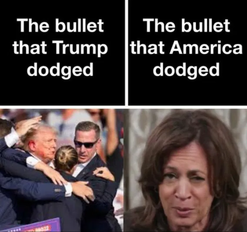 image_2025-10-14_062213580