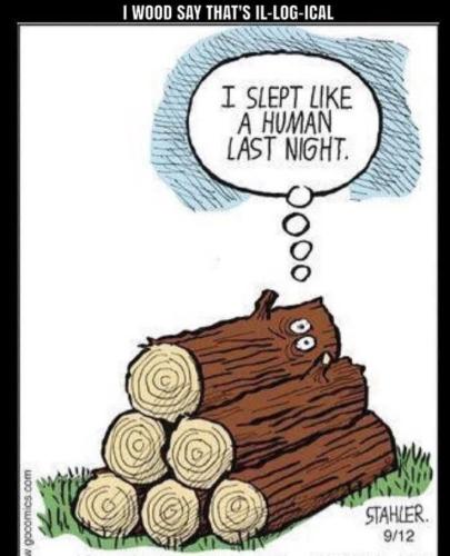 FB_IMG_1760795071775