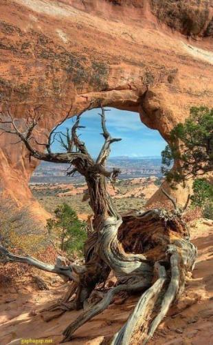 FB_IMG_1557535833564