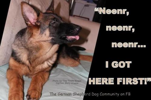 d44f3a3b0a9a2641dc4e7644baab7e38