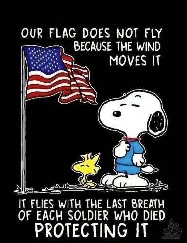 main-qimg-dea1e4dd4a02ef9e1baddd9ecc0beeba