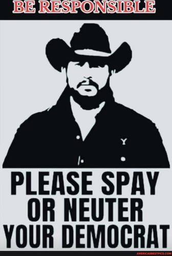 207b531b1ac14996ea1a32b4072ddfa29ebffbfa69fd7da5c320c0384d06137c_1