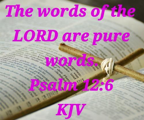 22cc9186-ea2a-47c4-b2be-4c1888ff94ae