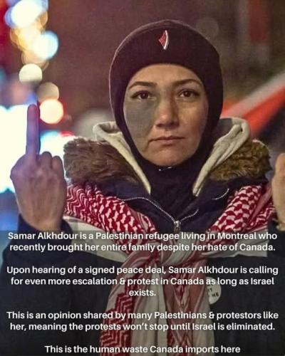 this is what they want