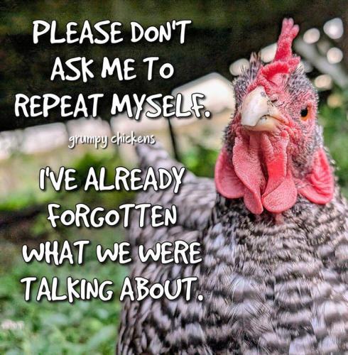 image_2FB20AA1-4B13-4DEF-9C69-2CEFE127BE1C