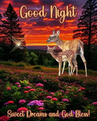 564462663_18028652276743683_2585379317438998665_n