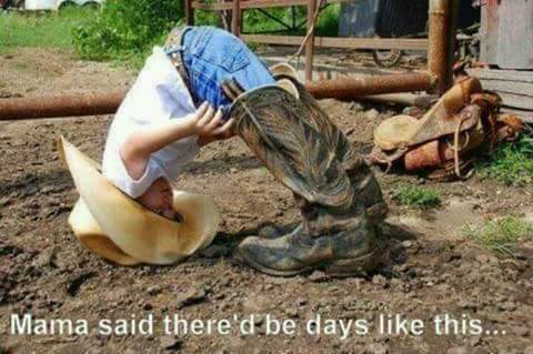 FB_IMG_1615330346679