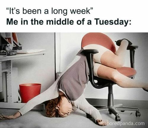 tuesday-memes-13-668288da89a57__700