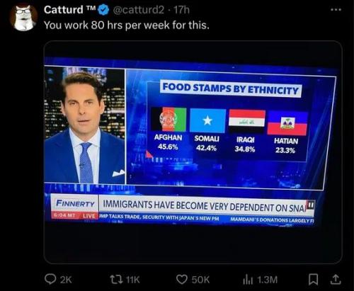 FOOD STAMPS ETHNICITY 2