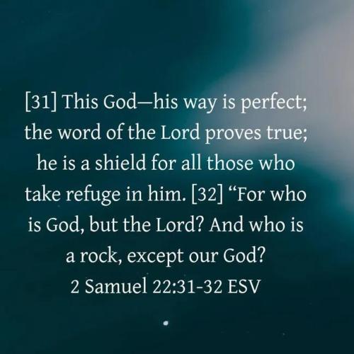 IMG_20251020_192403_284