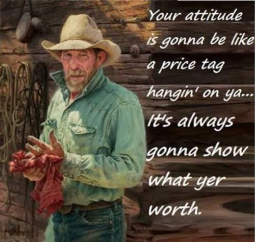 4456b247f26d74c3a4e987e63b7ee671