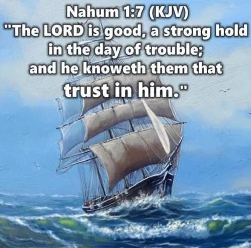 0ff48181-fd3d-4c13-8137-ce5b641a39c0