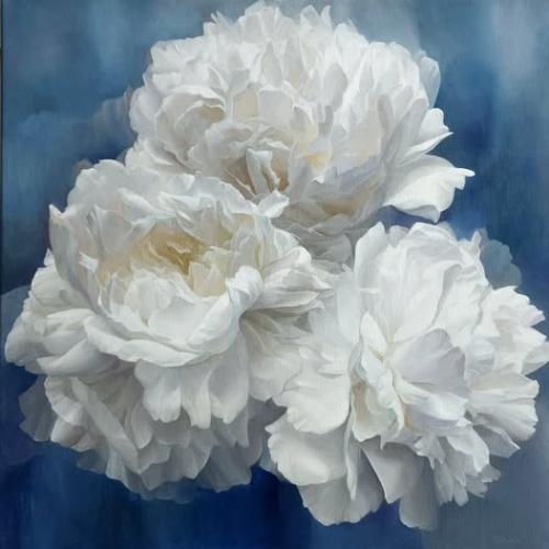 571414460_4189412654638609_3980856186460655337_n