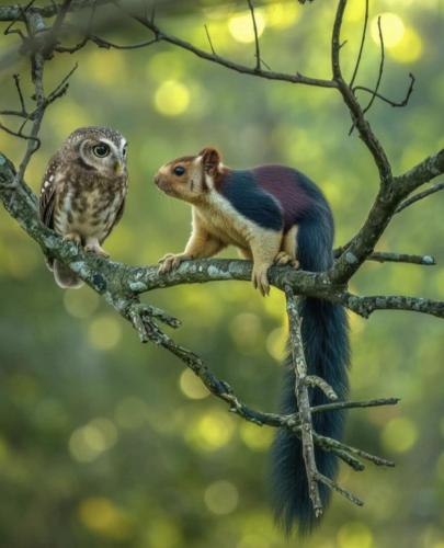 572227791_1827831178102737_7249987983173397695_n