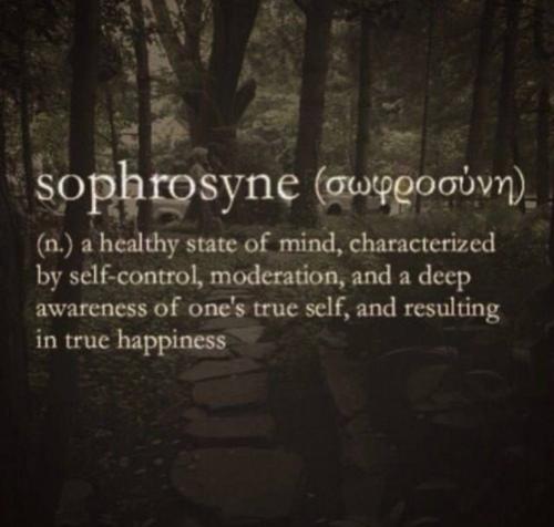 IMG_20251029_193535_541