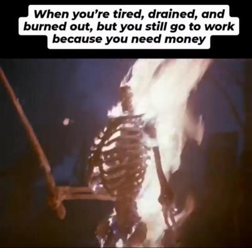 95909842-16ff-4fb5-8d45-3d602500fee9