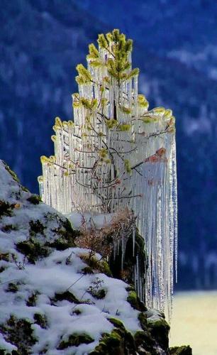 4d3b0c809daa1fa46fdb4a993412f817