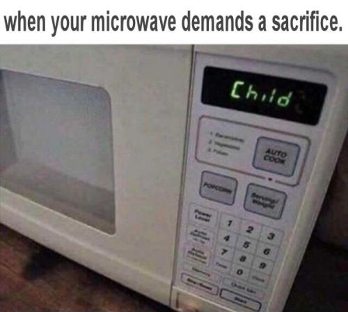 when your microwave demands a sacrifice